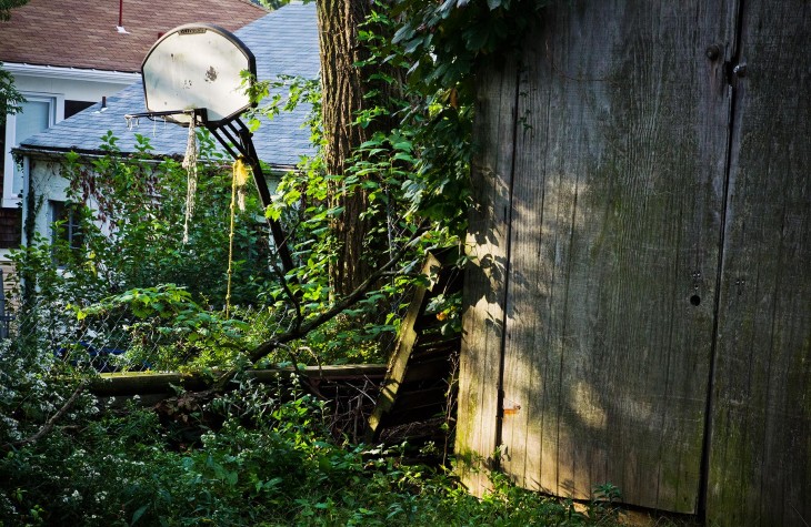 overgrown, greenery, pittsburgh