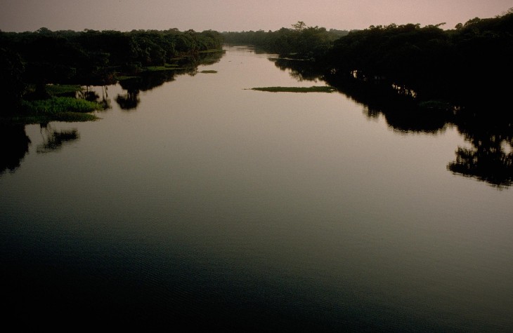 amazonas, river