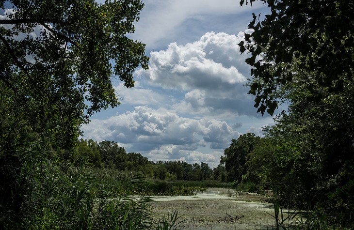 land, sky, clouds