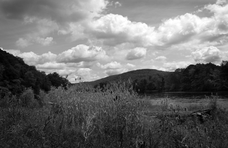 allegheny river