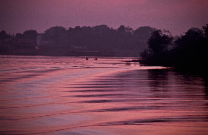 amazonas, river