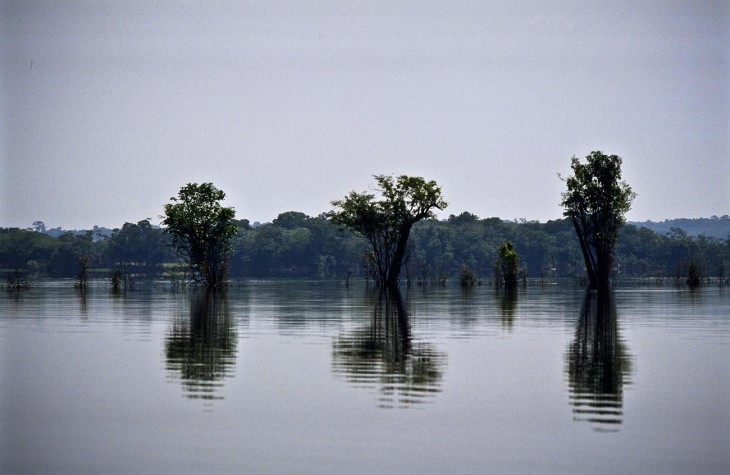 amazonas, river