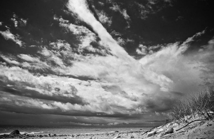 aquinnah landscape black and white