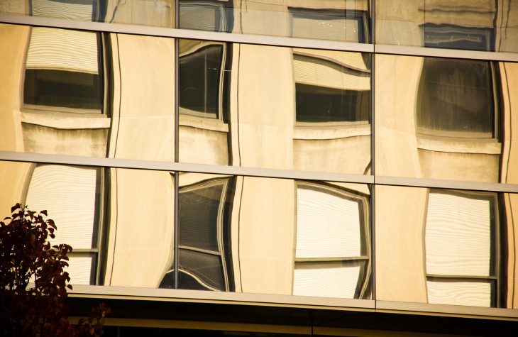 reflection, windows