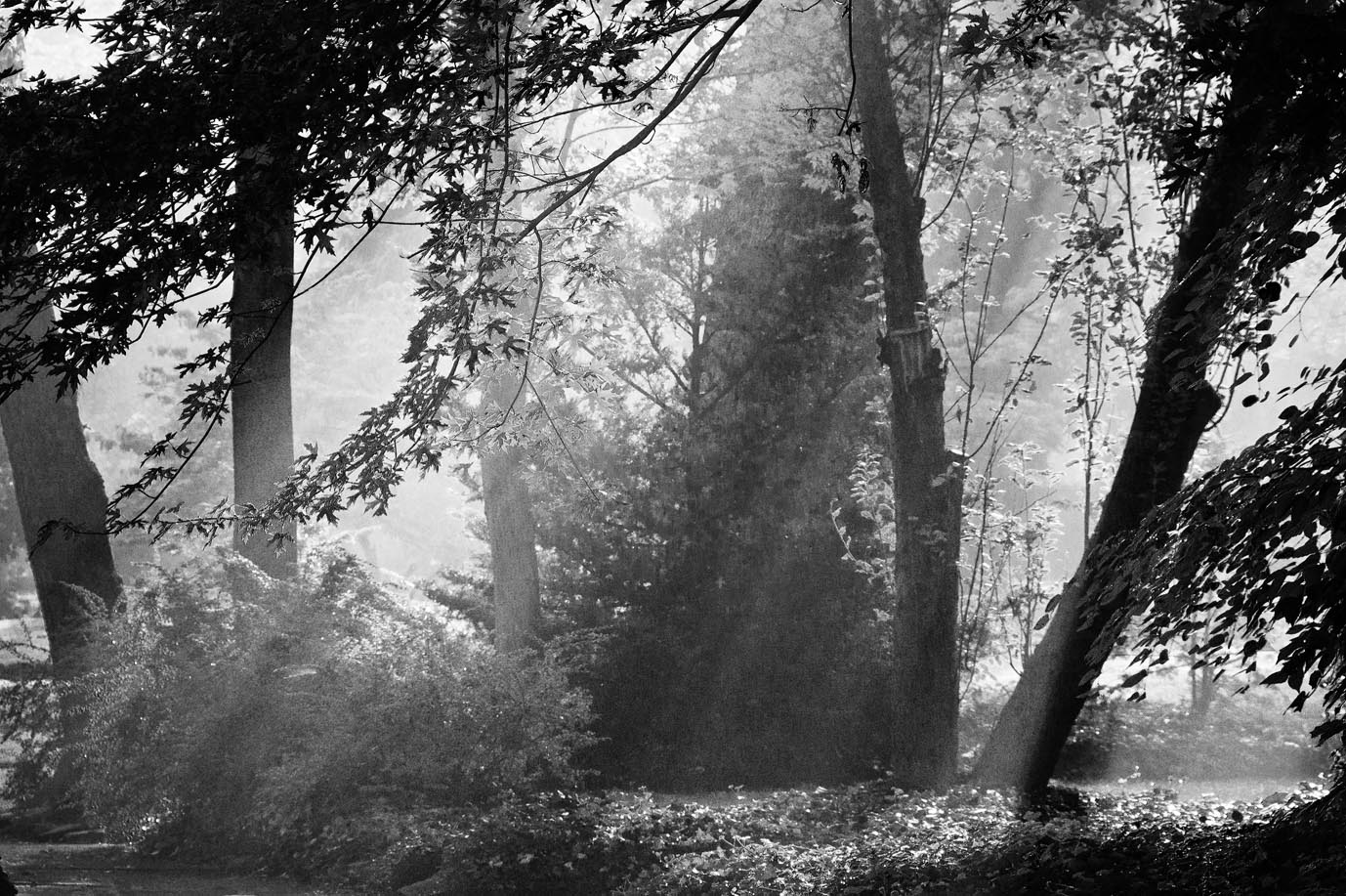 Edgehill by Barney Taxel