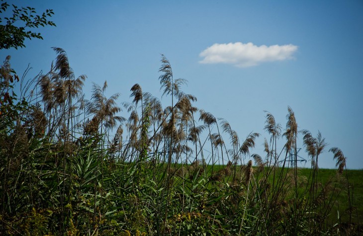 towpath