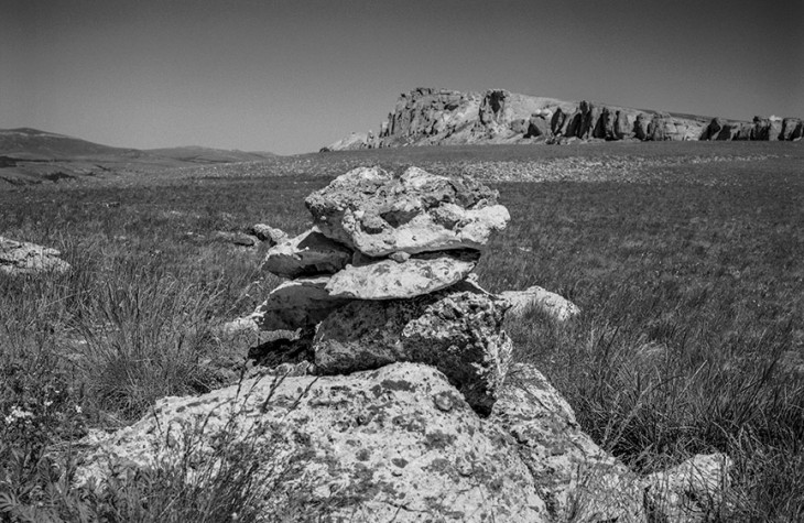 bighorn forest