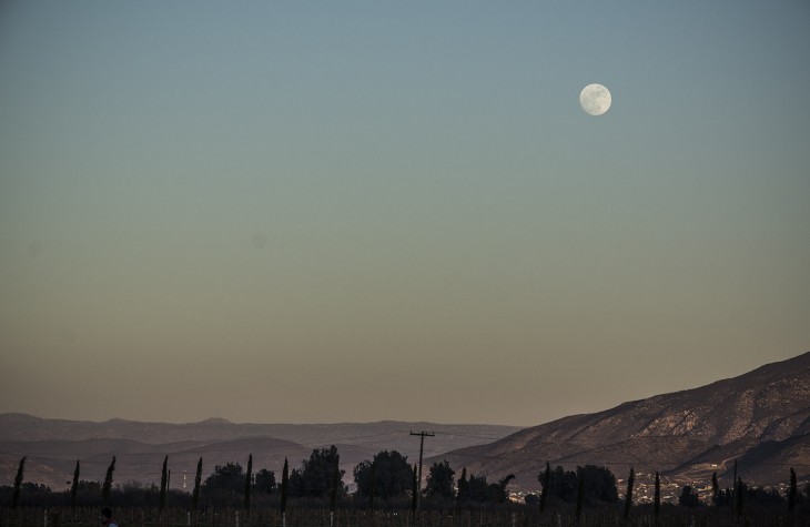 valle de guadalupe