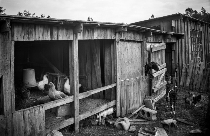 barn crystal lake michigan 1989